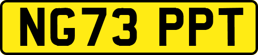 NG73PPT