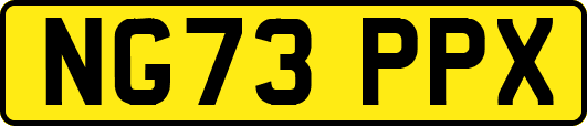 NG73PPX