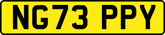 NG73PPY