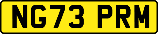 NG73PRM