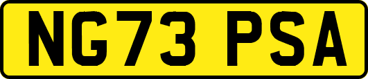 NG73PSA
