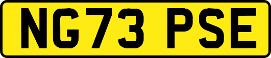 NG73PSE