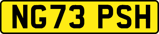NG73PSH