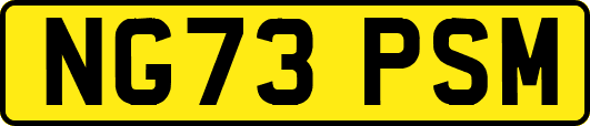 NG73PSM