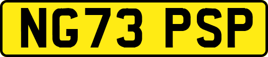NG73PSP