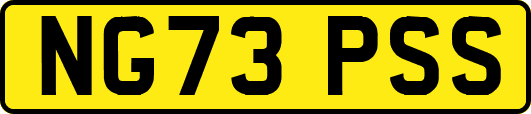 NG73PSS