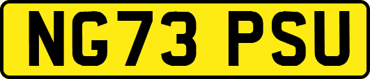 NG73PSU