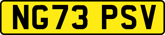 NG73PSV