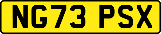 NG73PSX