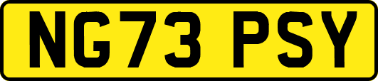 NG73PSY