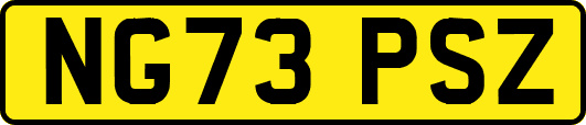 NG73PSZ