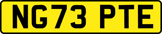NG73PTE