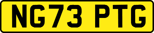 NG73PTG