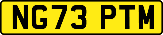 NG73PTM