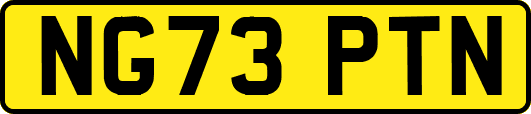 NG73PTN