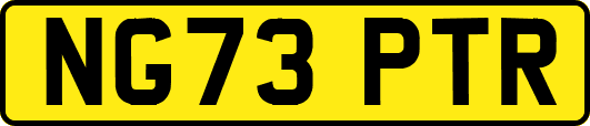 NG73PTR