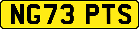 NG73PTS