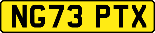 NG73PTX
