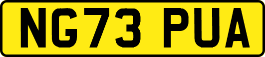 NG73PUA