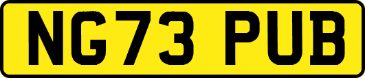 NG73PUB