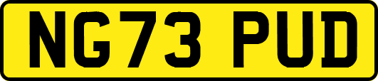 NG73PUD