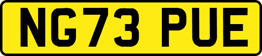 NG73PUE