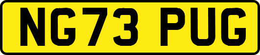NG73PUG