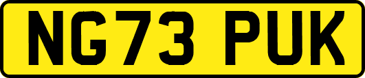 NG73PUK