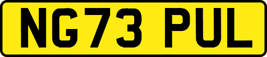 NG73PUL