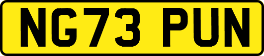 NG73PUN