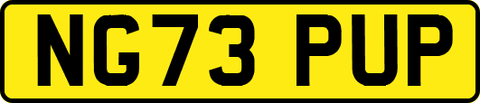 NG73PUP