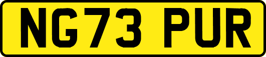 NG73PUR