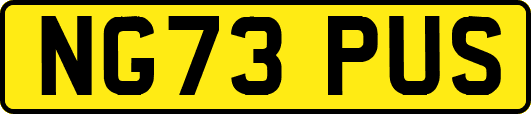 NG73PUS