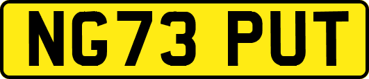 NG73PUT