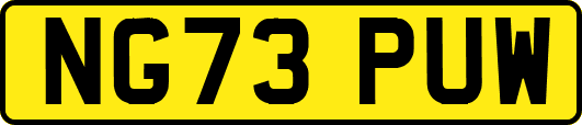 NG73PUW
