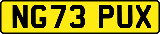 NG73PUX