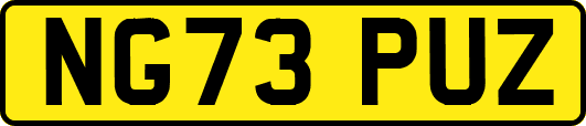NG73PUZ