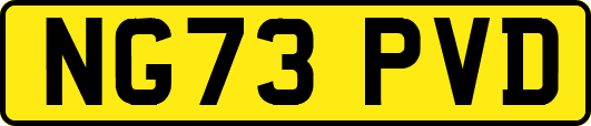 NG73PVD