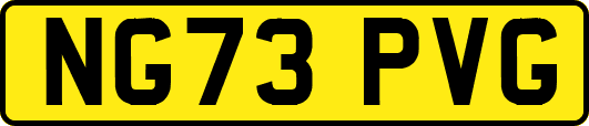 NG73PVG