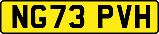 NG73PVH
