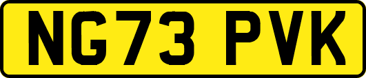 NG73PVK