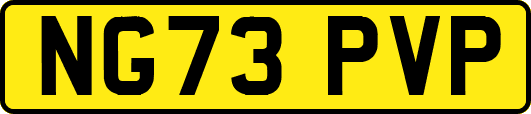 NG73PVP
