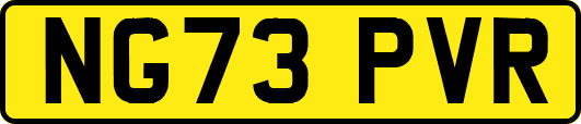 NG73PVR