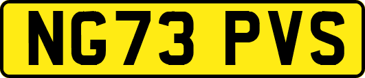 NG73PVS