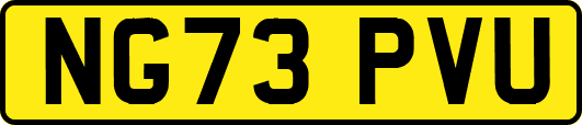 NG73PVU