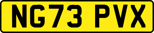 NG73PVX
