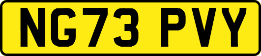 NG73PVY