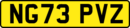 NG73PVZ