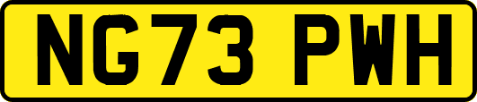 NG73PWH