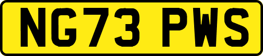 NG73PWS